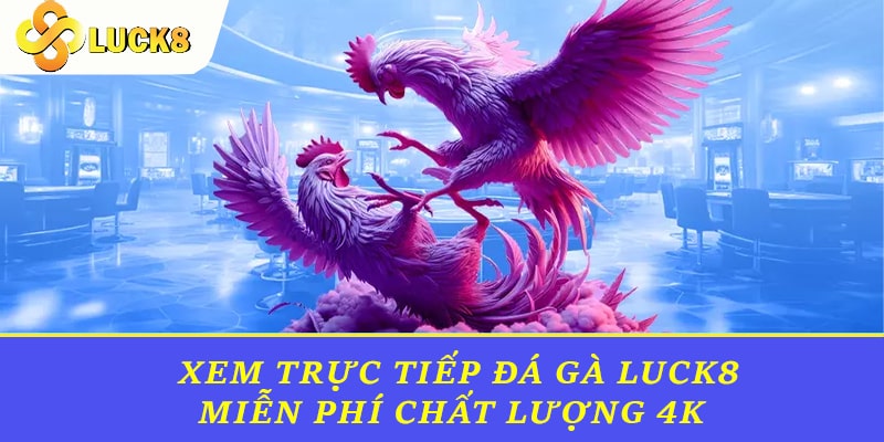  Xem trực tiếp đá gà Luck8 miễn phí chất lượng 4K 