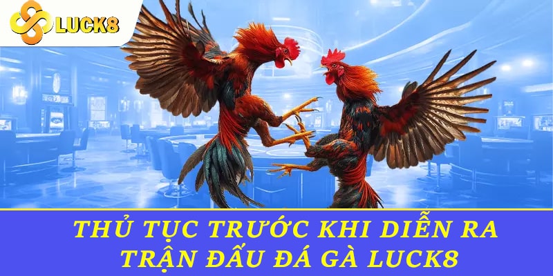 Thủ tục trước khi diễn ra trận đấu đá gà Luck8