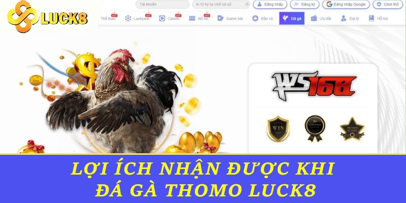 Lợi ích nhận được khi Đá Gà Thomo Luck8