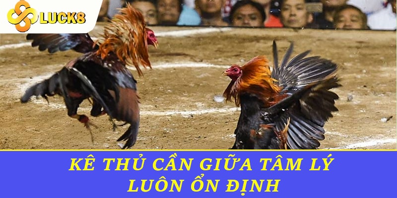 Người chơi cần giữa tâm lý luôn ổn định