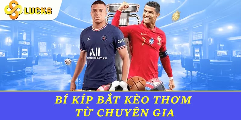 Bí kíp bắt kèo thơm từ chuyên gia